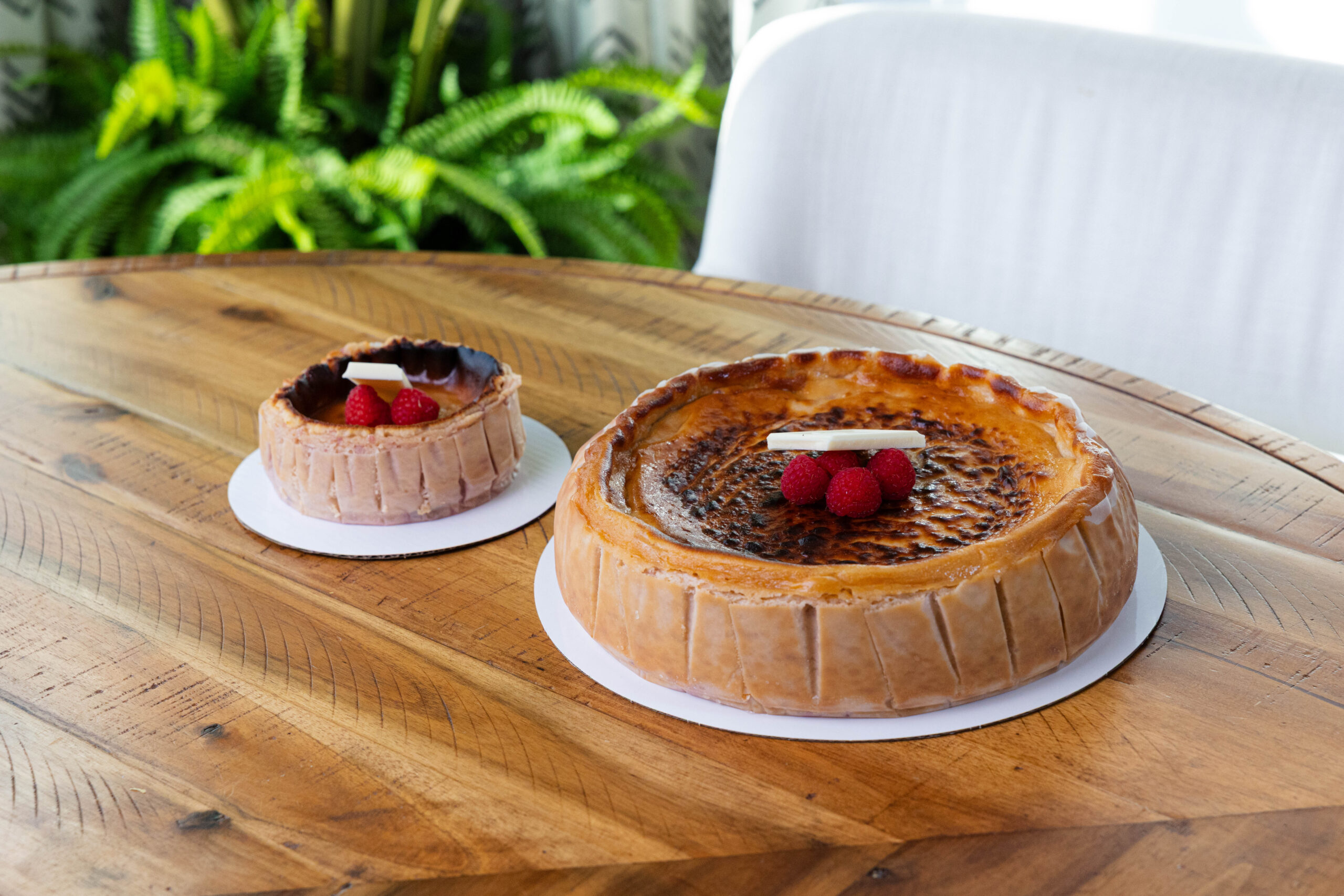cheescakes large and small white chocolate